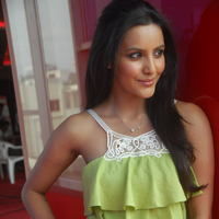 PRIYA ANAND CUTE PHOTOS AT 180 SUCCESS MEET | Picture 43553